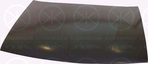 КАПОТ CT21-015-0