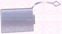 ЗАГЛУШКА ОТВЕРСТИЯ КРЮКА PBZ99014CA