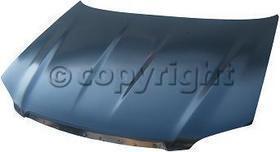КАПОТ PMZ20035A