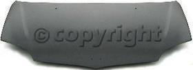 КАПОТ PTY20088A
