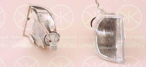 УКАЗАТЕЛЬ ПОВОРОТА (ПРАВЫЙ) ZFT1513R