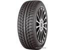 Champiro WinterPro 165/65R14 79T
