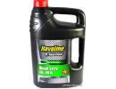 Havoline Diesel Extra 10W-40 5л