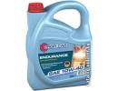 10W-40 ENDURANCE 5л